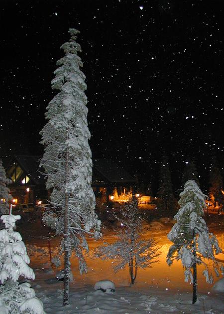 Tenaya Lodge near Yosemite National Park:  Original Photograph by Marie Haeffner-Reeves