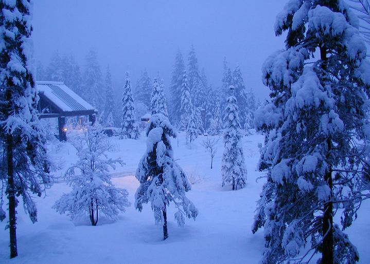 Tenaya Lodge near Yosemite National Park:  Original Photograph by Marie Haeffner-Reeves