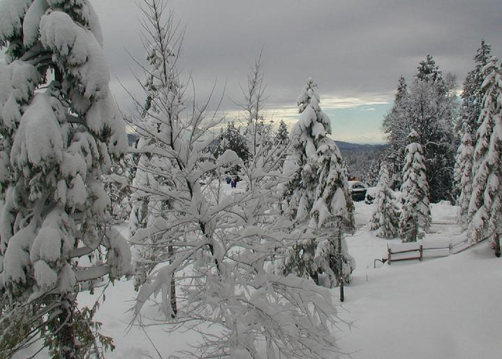 Tenaya Lodge near Yosemite National Park:  Original Photograph by Marie Haeffner-Reeves