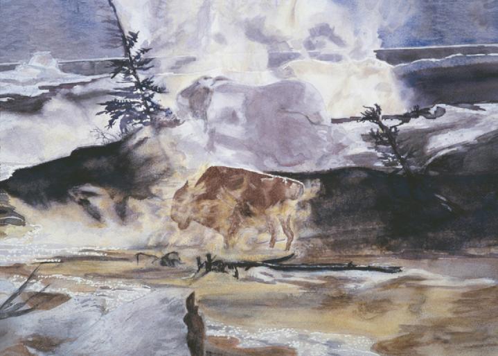 Yellowstone Buffalo in Winter,Wyoming:  Original Watercolor by Marie Haeffner-Reeves